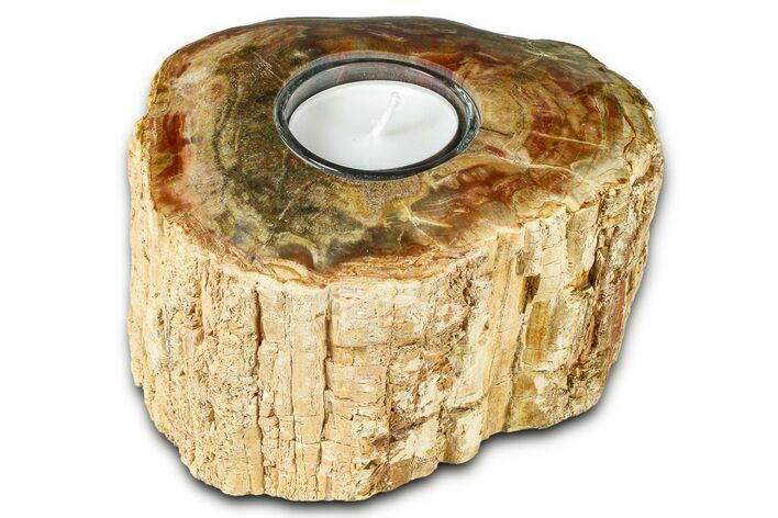 Polished Petrified Wood Candle Holder - Madagascar #378682